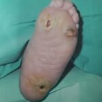 whatsapp image 2025 10 09 at 12.32.02[1]