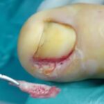 whatsapp image 2025 10 09 at 12.34.16 (1)[1]