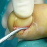 whatsapp image 2025 10 09 at 12.34.16 (2)[1]