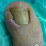 whatsapp image 2025 10 09 at 12.34.16 (3)[1]