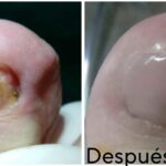 whatsapp image 2025 10 09 at 16.22.23 (1)[1]