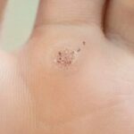 whatsapp image 2025 10 09 at 16.25.47[1]