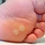 whatsapp image 2025 10 09 at 16.25.48[1]