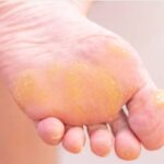 whatsapp image 2025 10 09 at 16.28.33 (3)[1]