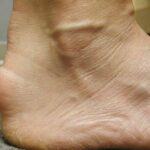 whatsapp image 2025 10 09 at 16.47.41 (1)[1]