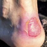 whatsapp image 2025 10 09 at 16.47.41 (3)[1]