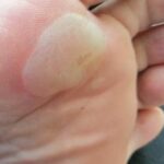 whatsapp image 2025 10 09 at 16.47.41 (4)[1]