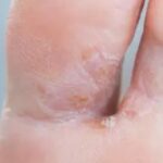 whatsapp image 2025 10 09 at 16.47.41 (5)[1]