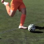 whatsapp image 2025 10 09 at 16.49.27 (1)[1]